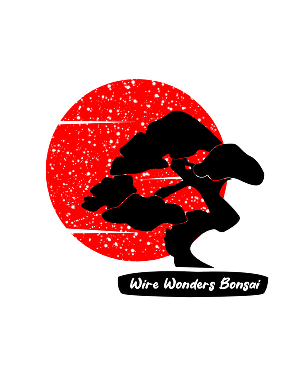 Wire Wonders Bonsai