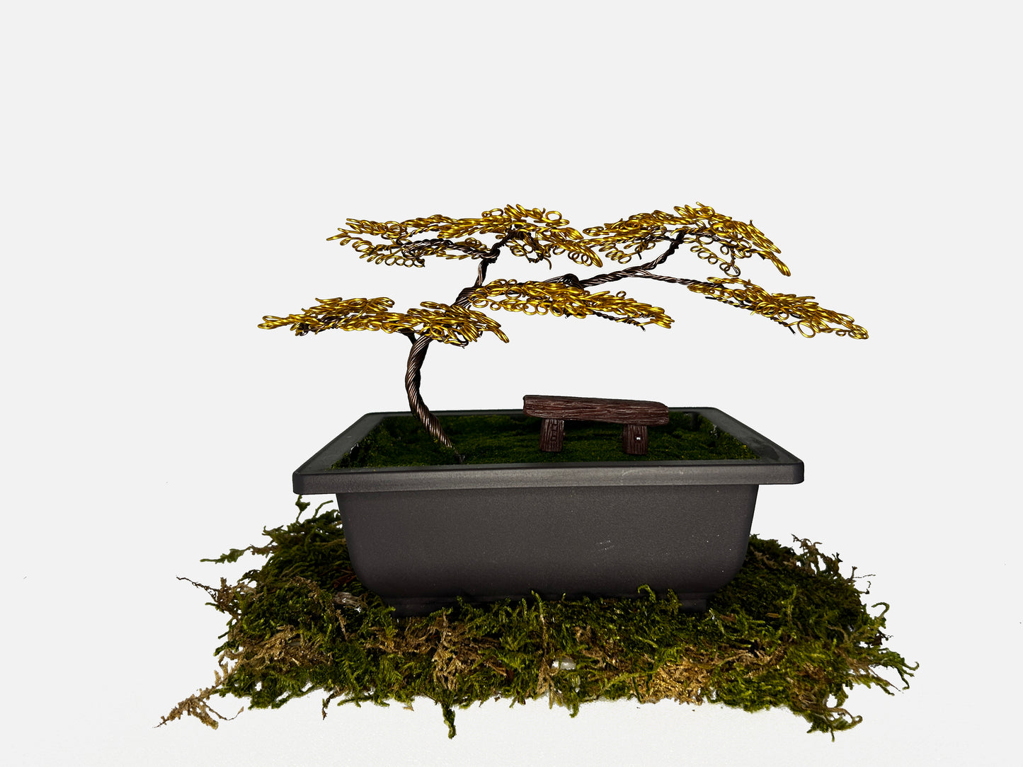 Canopy Bonsai With Bench