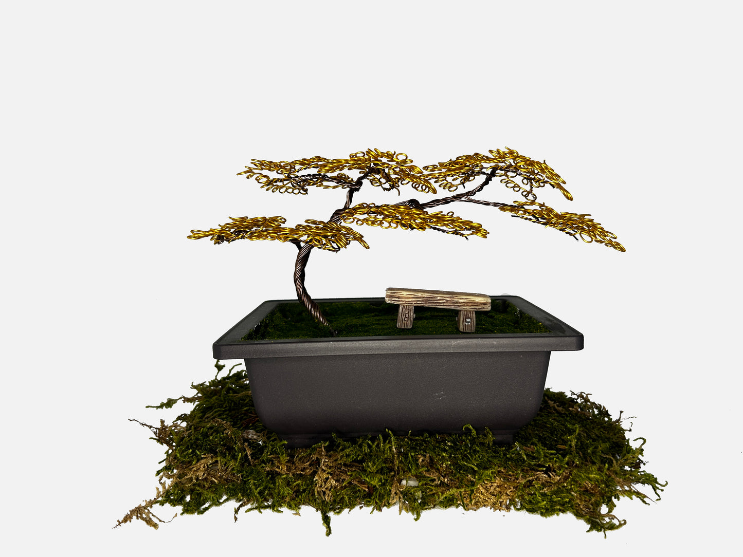 Canopy Bonsai With Bench