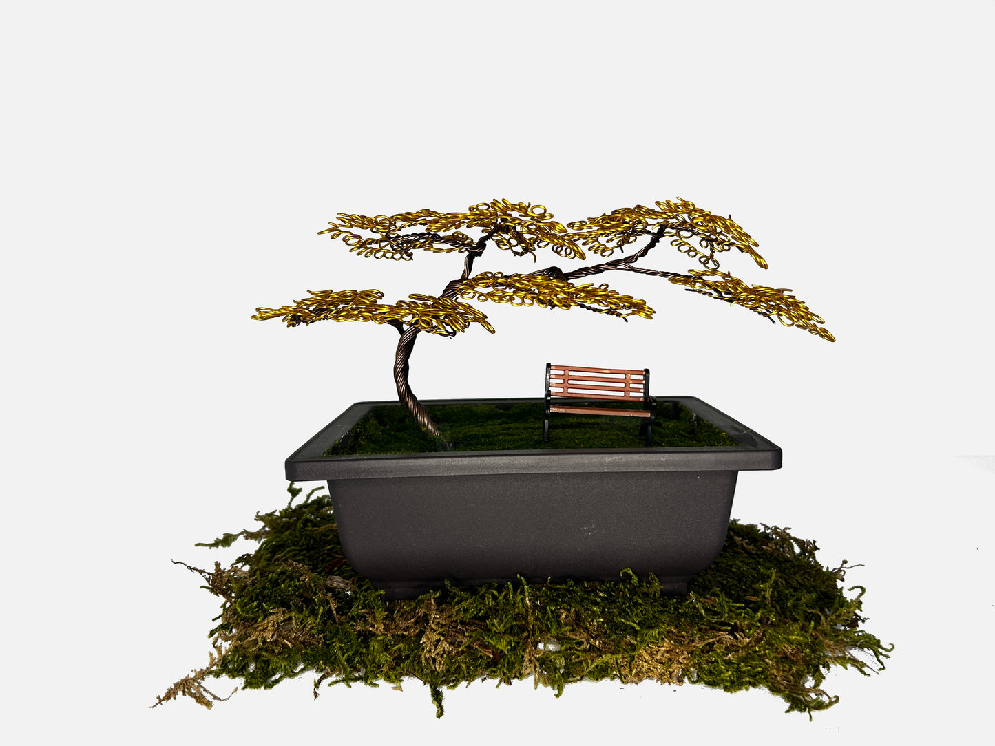 Canopy Bonsai With Bench